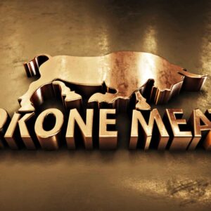 Bokone Meats - Pespective 3D Logo 2