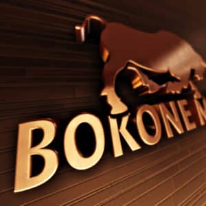 Bokone Meats - Pespective 3D Logo 3