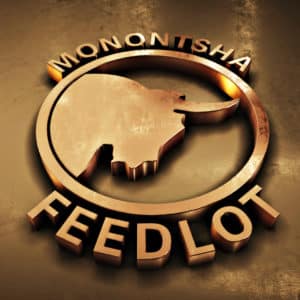 Monontsha Feedlot - Perspective 3D Logo