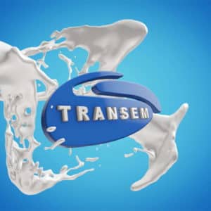Transem - Logo Preview (2017-02-22) (2)