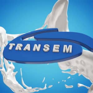 Transem - Logo Preview (2017-02-22) (3)